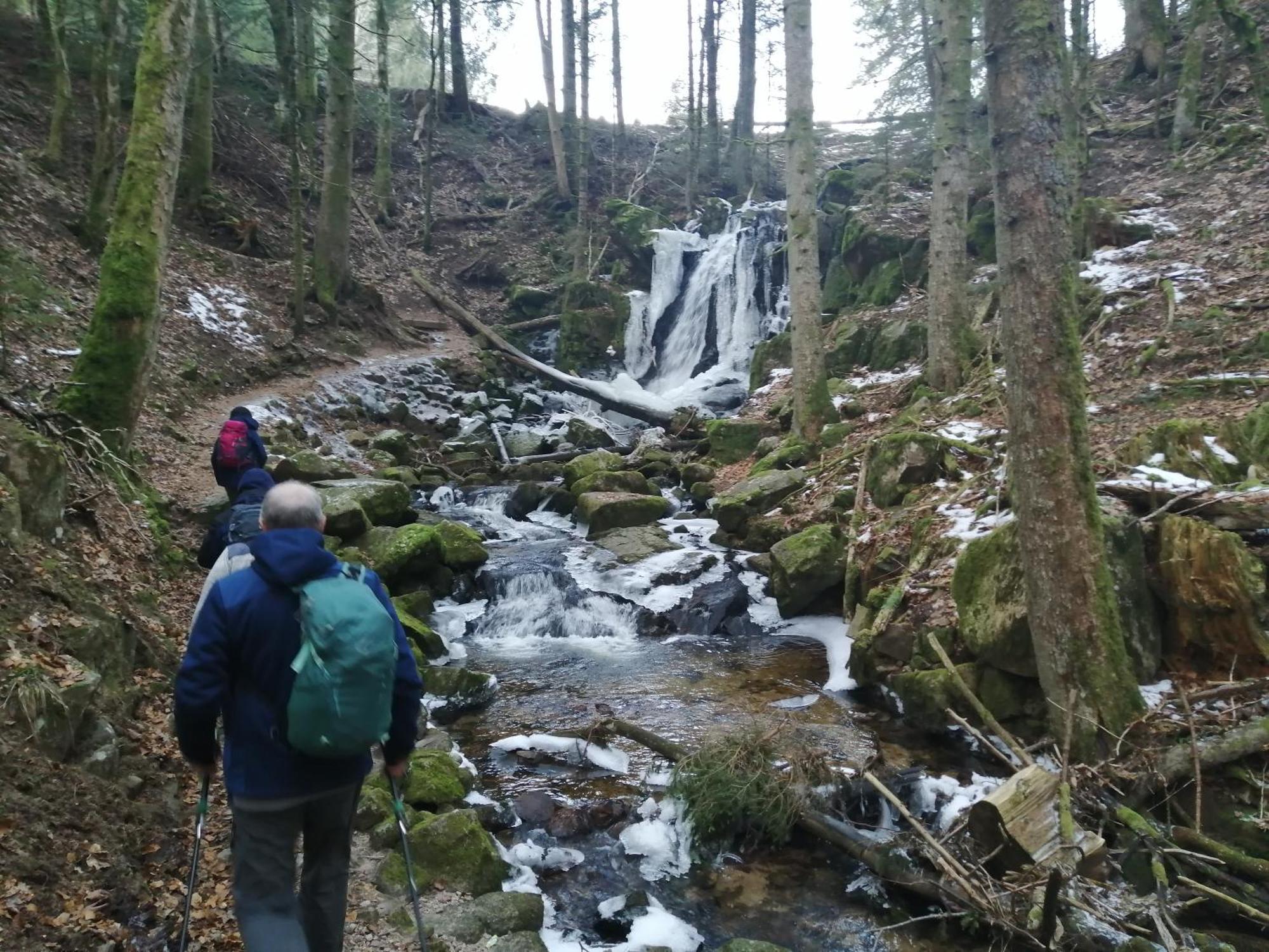 Blackforest Perla Höchenschwand Eksteriør billede