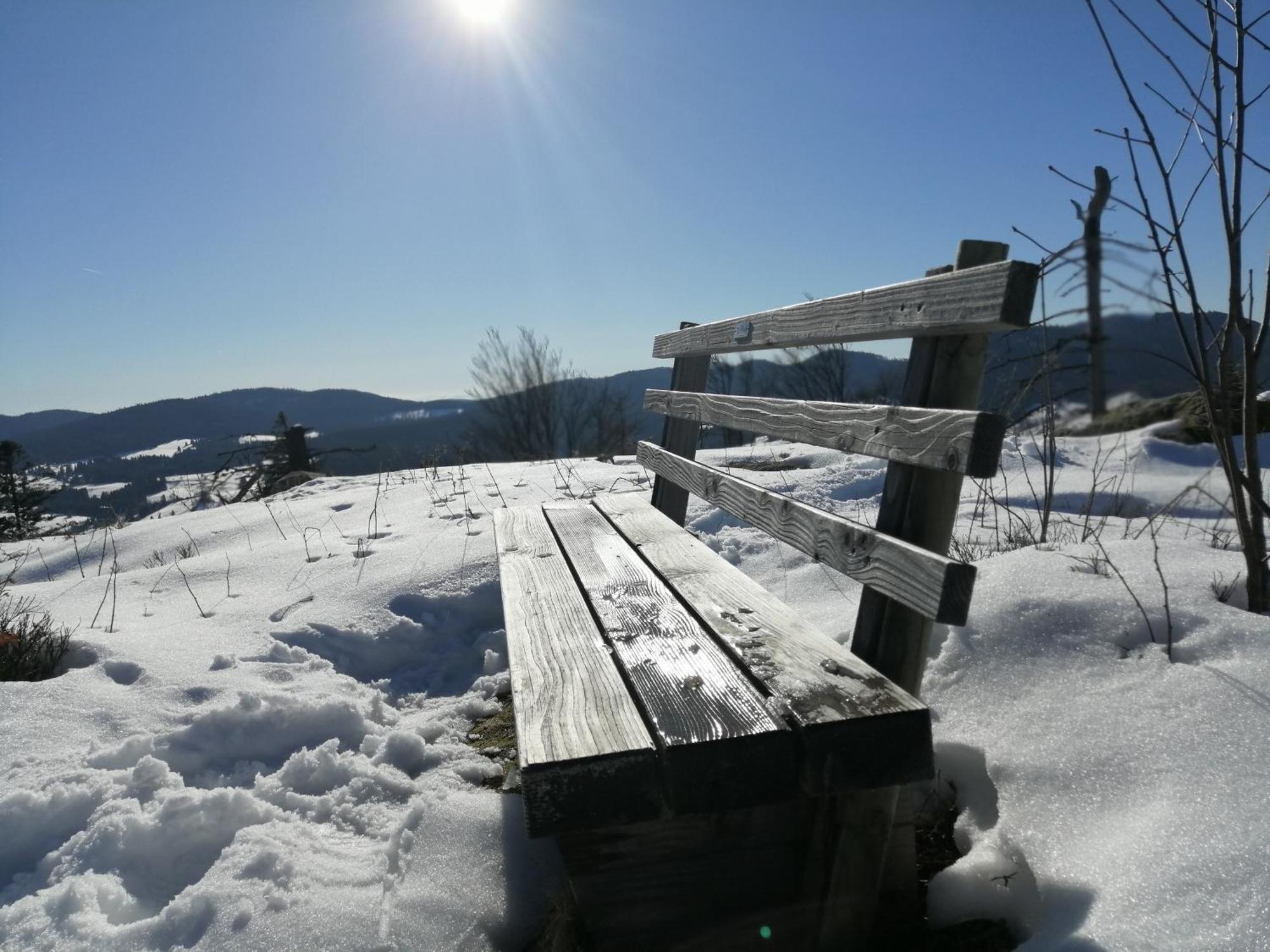 Blackforest Perla Höchenschwand Eksteriør billede