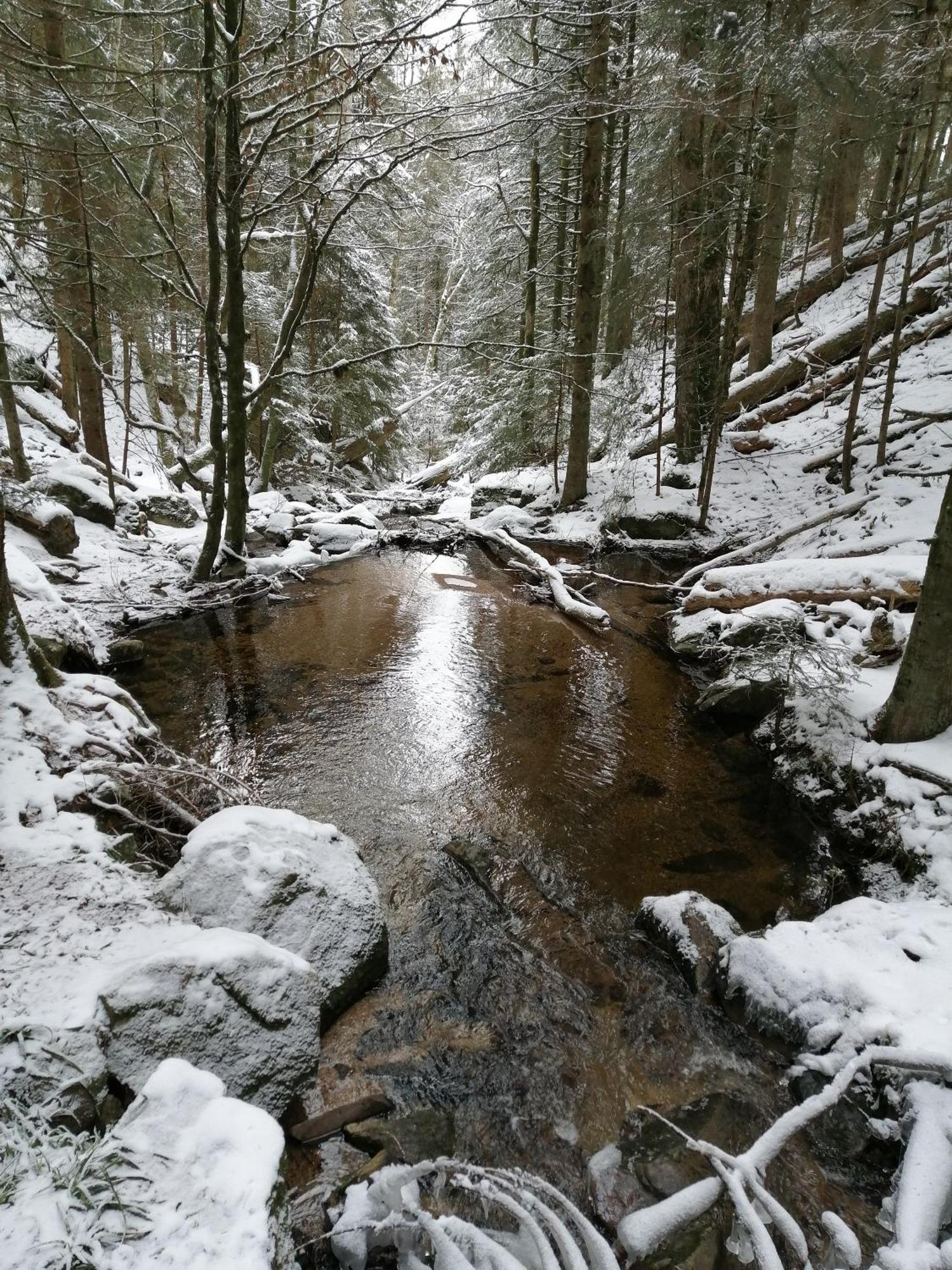 Blackforest Perla Höchenschwand Eksteriør billede