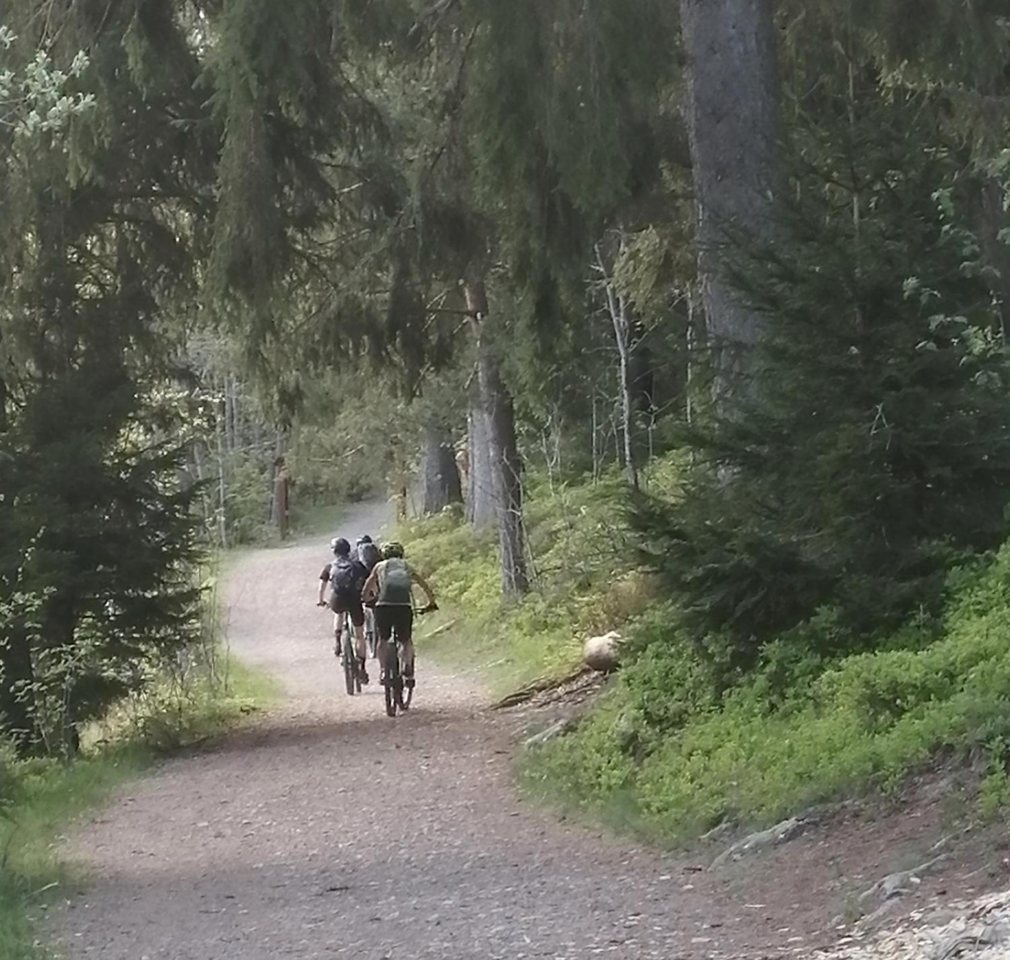 Blackforest Perla Höchenschwand Eksteriør billede